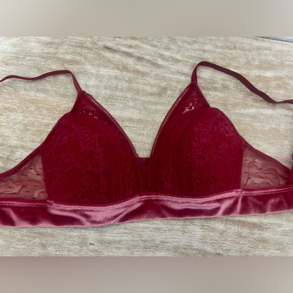 NWOT Magenta lace bra with Velvet Detailing